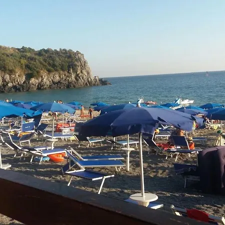 L'ulivo *