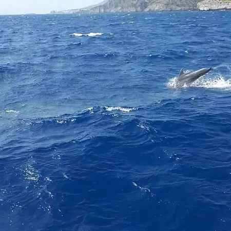 L'ulivo Marina di Camerota